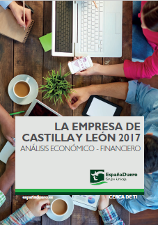 La empresa de Castilla y León 2017. Análisis económico-financiero