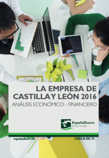 La empresa de Castilla y León 2016. Análisis económico-financiero